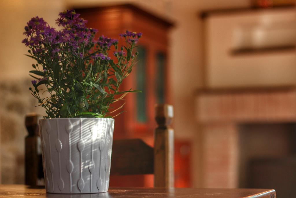 Country House Cozzena Maslianico Luaran gambar